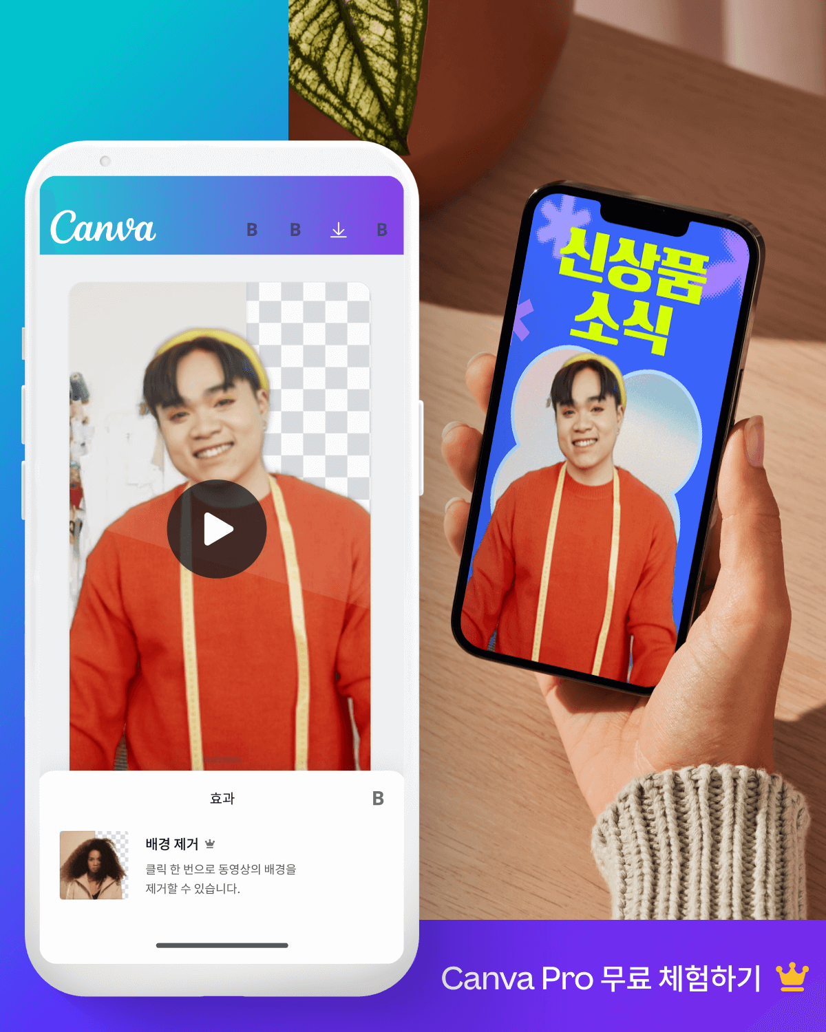 Canva video_background_remover ad